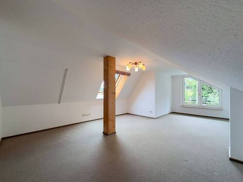 Studio DG - 