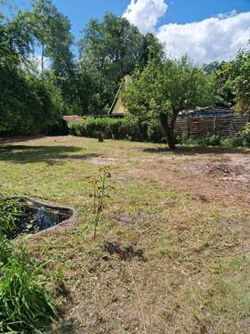 20240613_135515.jpg - Grundstück zum Kaufen in Falkensee