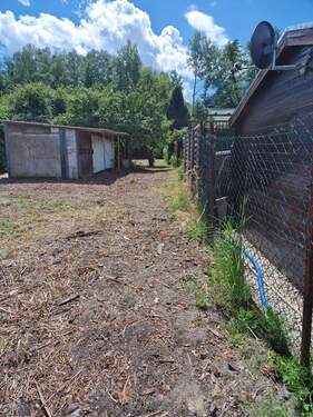 20240613_135852.jpg - Grundstück in Falkensee