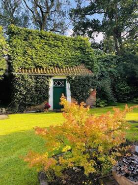 Blick auf den Holzschuppen - 