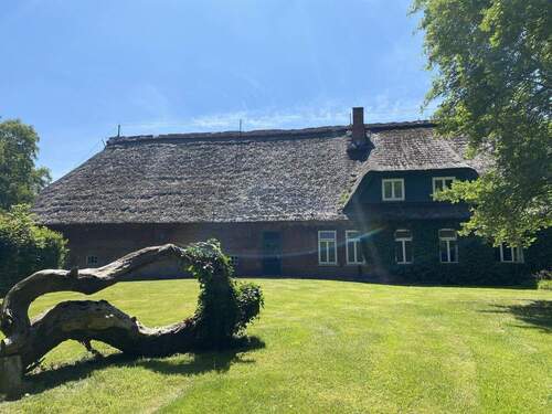 Seitenansicht des Hauses - 