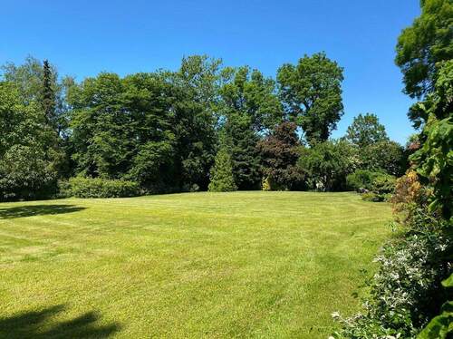 Blick in den Garten - 