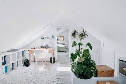 Dachstudio - 