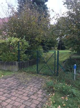 IMG_3288.JPG - Baugrundstück am Rande Berlins - Panketal