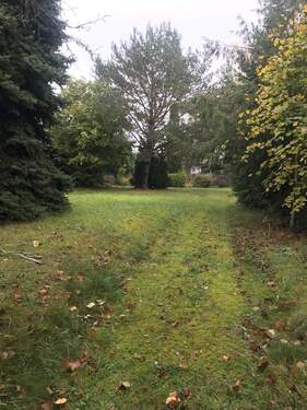 IMG_3253.JPG - Grundstück zum Kaufen in Panketal