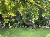Bild 10 - 