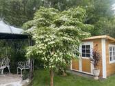 Bild 11 - 