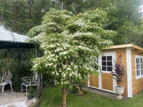Bild 11 - 