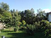 Bild 19 - 