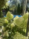 Bild 7 - 