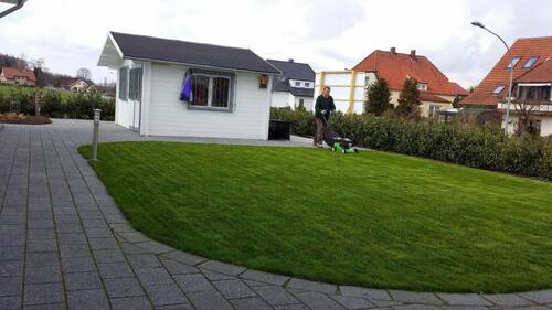 Weg zum Gartenhäuschen - 