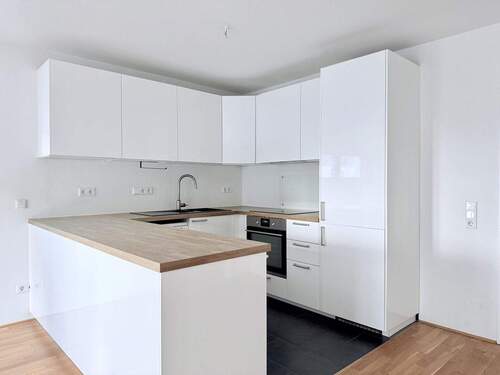 Im Preis inbegriffen: Hochwertige Einbauküche - 