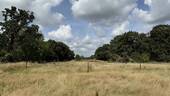 Ausblick - 