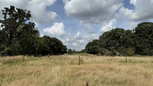 Ausblick - 