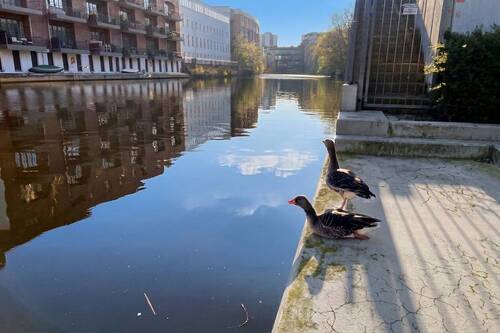 Um´s Eck an der Geibelstraße - 