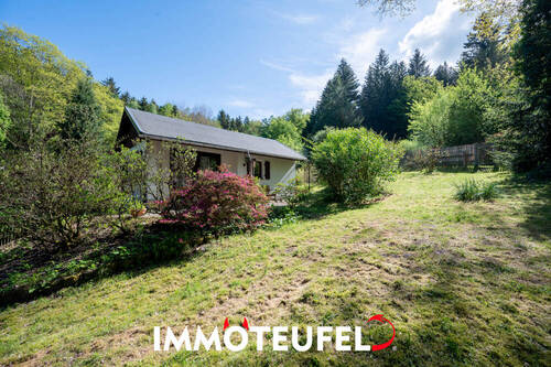 Bild 3 - 2 Zimmer Bungalow in Chemnitz / Einsiedel