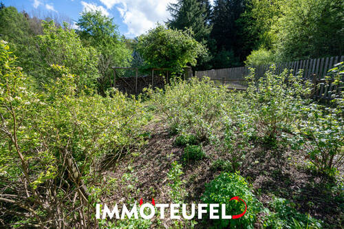 Hier können Sie fleißig anbauen - 