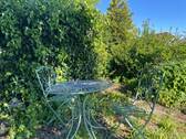 Naturgarten - 