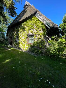 Seitenansicht - 