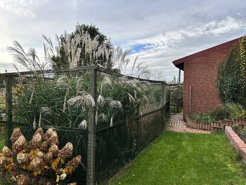 Garten_2 - 