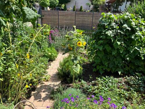 Bauerngarten - 
