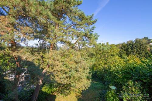 Ausblick - 