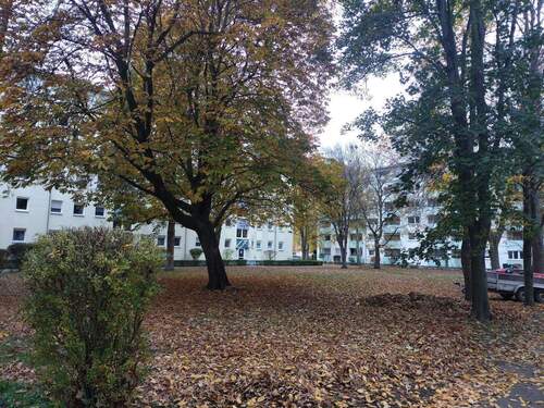 IMG_20251106_125223.jpg - 