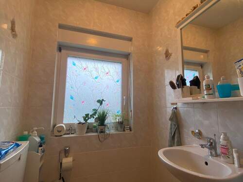 tempImage7dqLTb.jpg - 