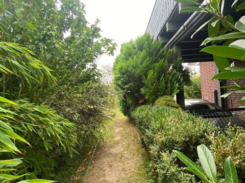 tempImage5W77o0.jpg - 