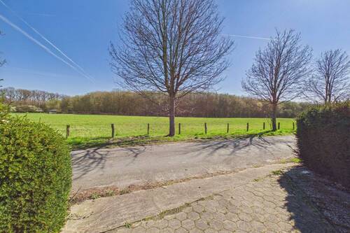 Blick aus der Einfahrt - 