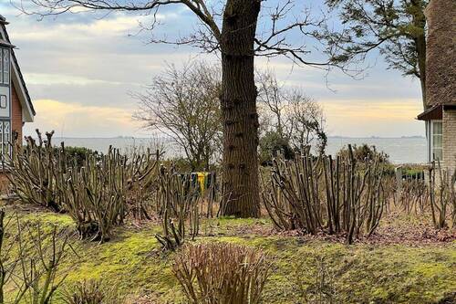Blick von der Terrasse - 