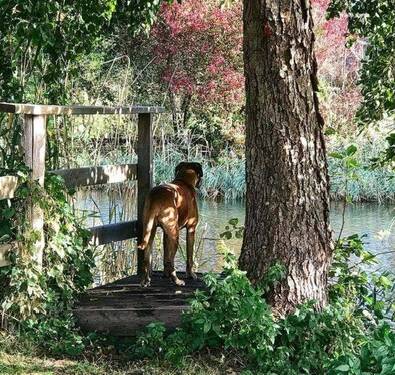 Steg am Kanal - 