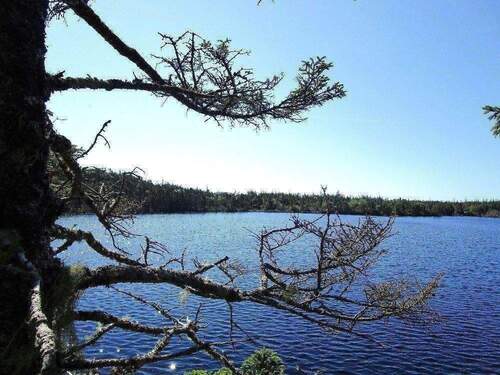 Seeufer - 