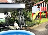 Innenhof - 