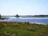 Meeresarm - 