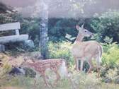 Besucher - 