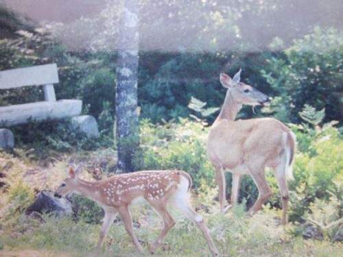 Besucher - 