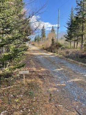 Privatstraße zum Grundstück - Grundstück in Sable River zum Kaufen