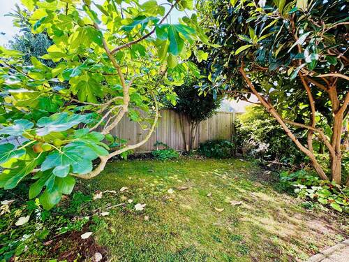 Garten - 