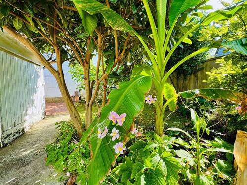 Garten - 