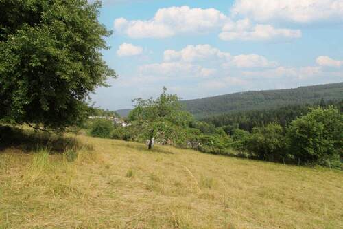 Grundstück von oben Bild 1 - 