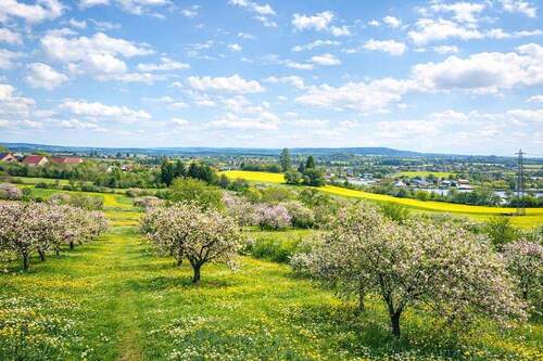 Terrassenblick Frühling - 