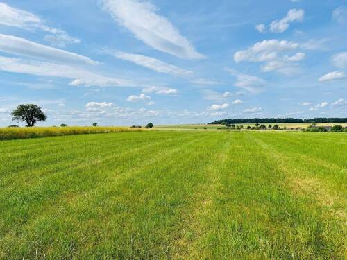 Bild 1.jpg - Grundstück zum Kaufen in Röhl