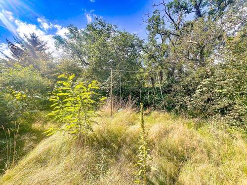 vorderer Garten - 