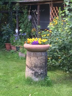 IMG_4258 - Grundstück in Berlin zum Kaufen