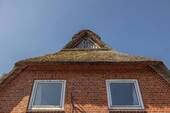 Gibel - 