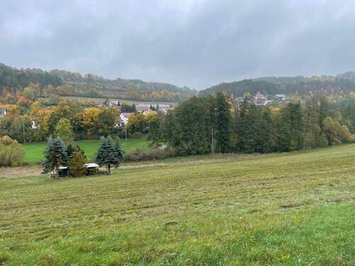 IMG_9319.JPG - Grundstück in Kronach