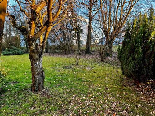 Garten des Hauses - 