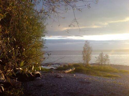 Genießen Sie die Nähe zum See - 