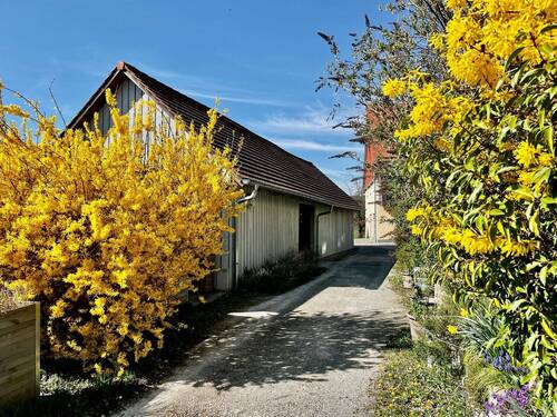 Der Fahrradschuppen... - 